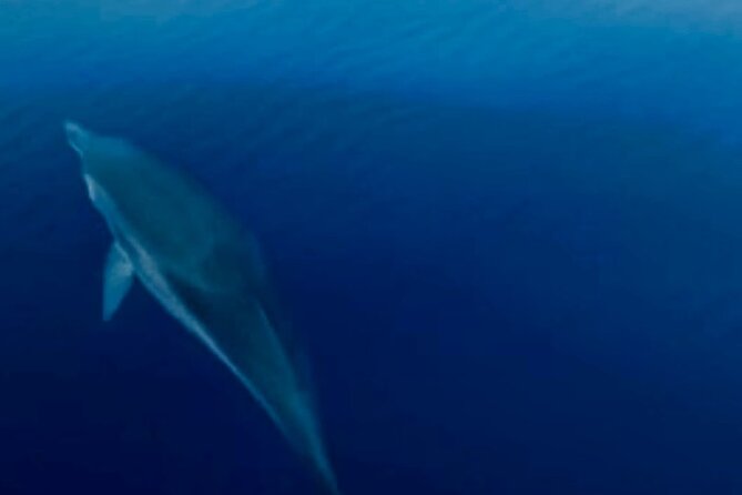 Rent our boat Principessa in Stromboli - Booking details worth checking first