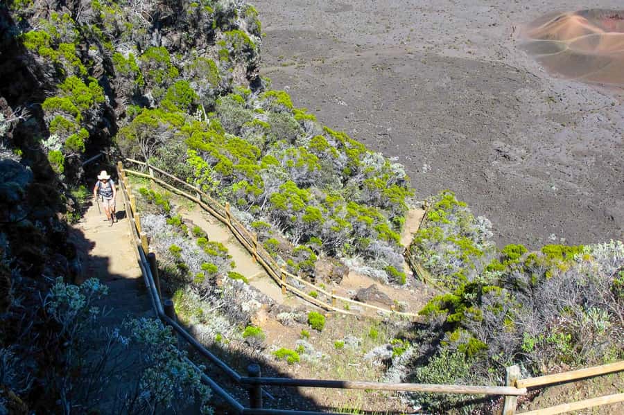 Réunion: Piton de la Fournaise Guided Volcano Hike - Formica Léo and the story beneath your feet