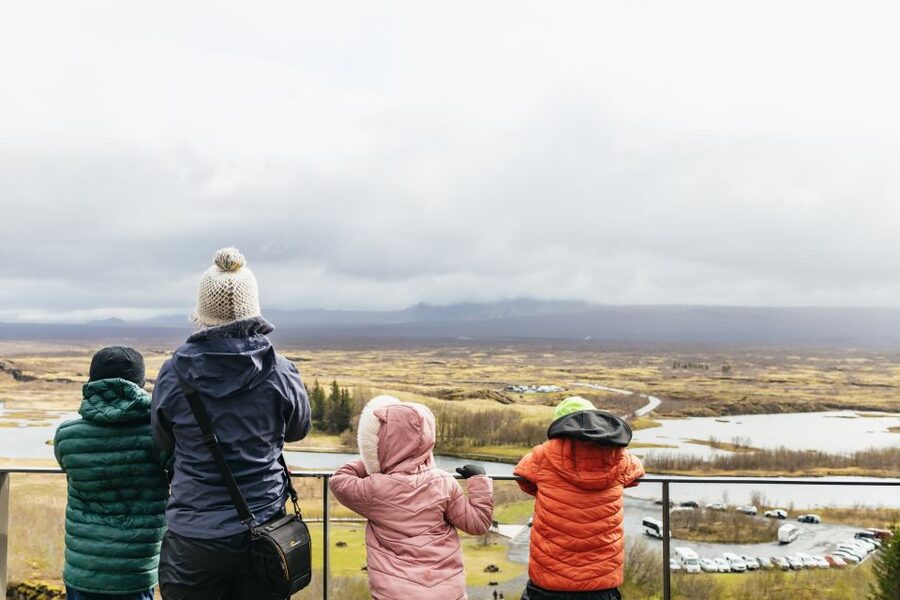 Reykjavik: Golden Circle, Crater & Blue Lagoon Minibus Tour - Is $252 a fair price?
