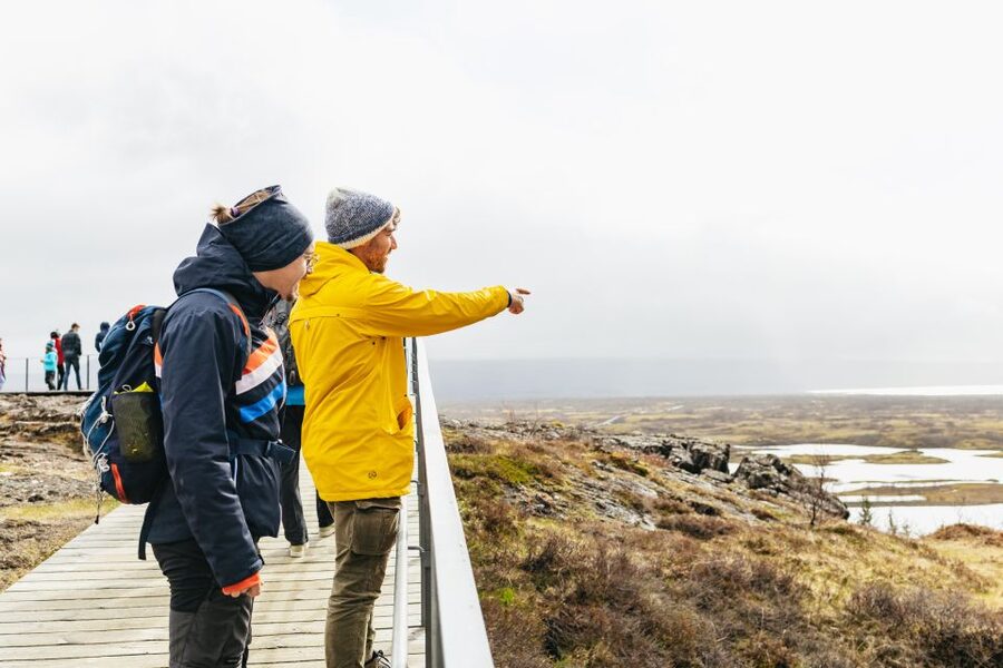 Reykjavik: Golden Circle, Crater & Blue Lagoon Minibus Tour - Blue Lagoon: the right ending to a cold day