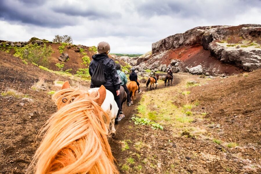 Reykjavik: Red Lava Horse Riding Tour - Meeting the horses and choosing the right pace