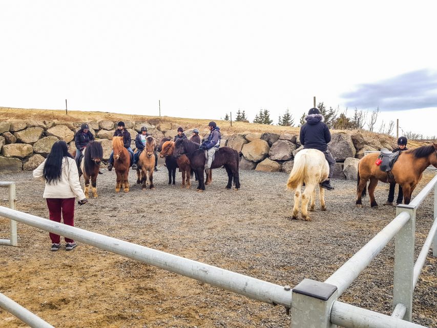 Reykjavik: Red Lava Horse Riding Tour - Photo stops, scenery, and the pace of the outing