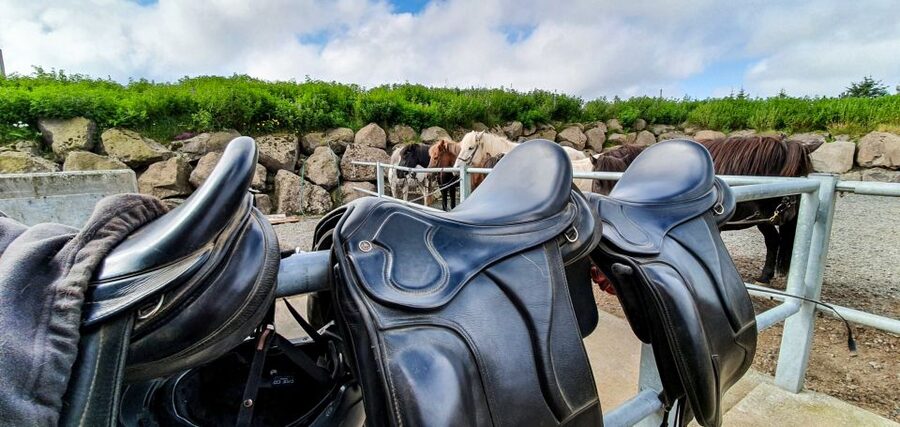 Reykjavik: Red Lava Horse Riding Tour - Is $142 a fair price?