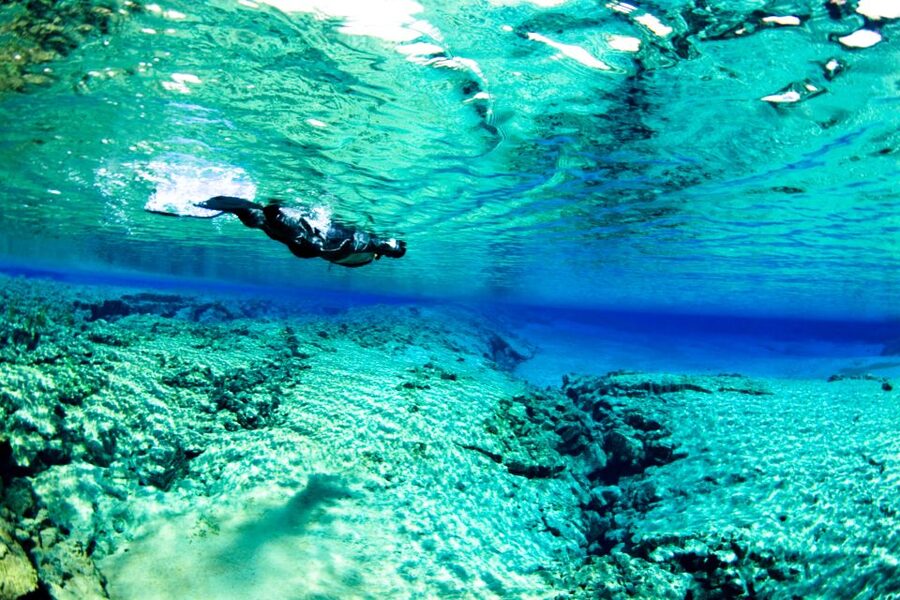 Reykjavik: Silfra Snorkeling & Lava Tunnel Adventure Combo - Silfra at Thingvellir: blue water between continents