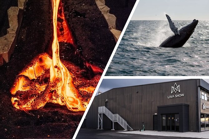 Reykjavik Whale Watching and Lava Show - The 2 p.m. or 6 p.m. Lava Show