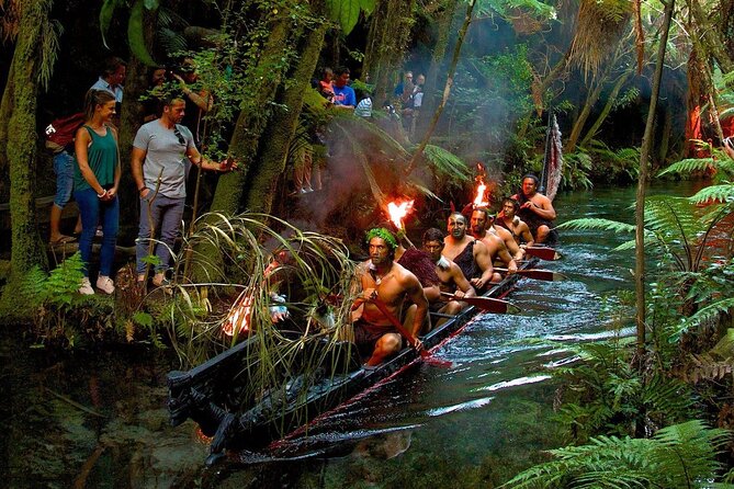 Rotorua Cultural & Geothermal Small Group Tour From Auckland - Is $294.77 a fair price?