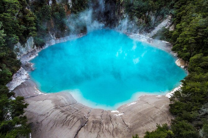 Rotorua Geothermal Living Maori Village Tour Whakarewarewa 6.5hours Tour - Small minibus advantages and group-size limits