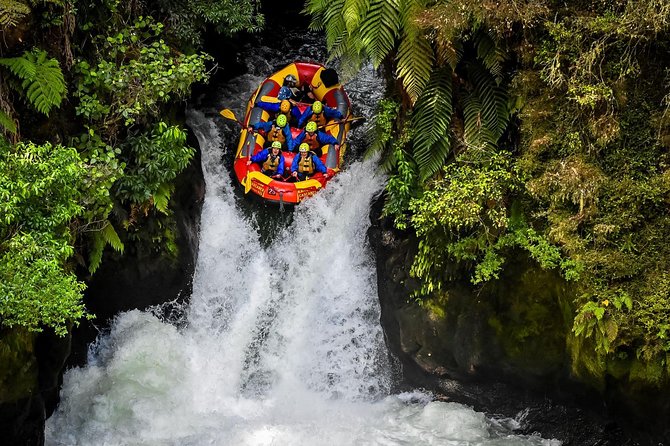 Rotorua Geothermal Wonderland Tour – Departs Tauranga - A short walk among the redwoods