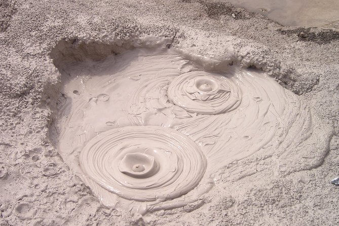 Rotorua Geothermal Wonderland Tour – Departs Tauranga - The small-group format and guides