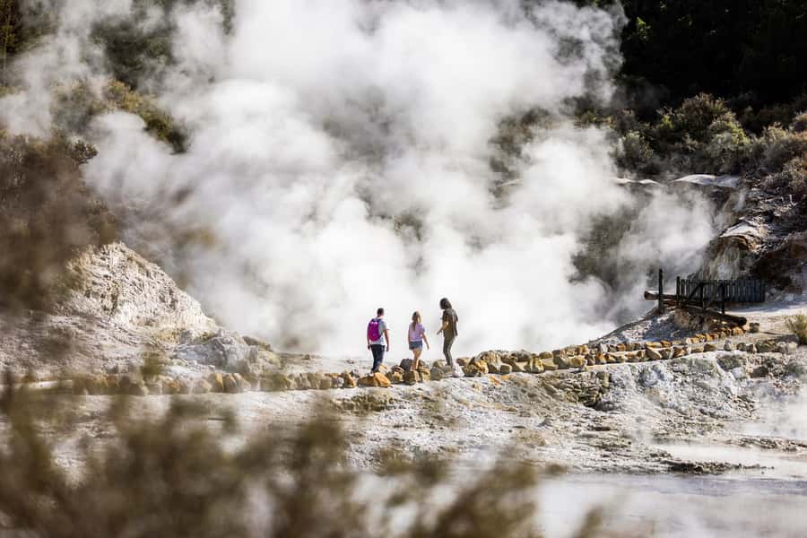 Rotorua: Hell's Gate Geothermal Walk - The bush walk and Southern Hemisphere hot waterfall