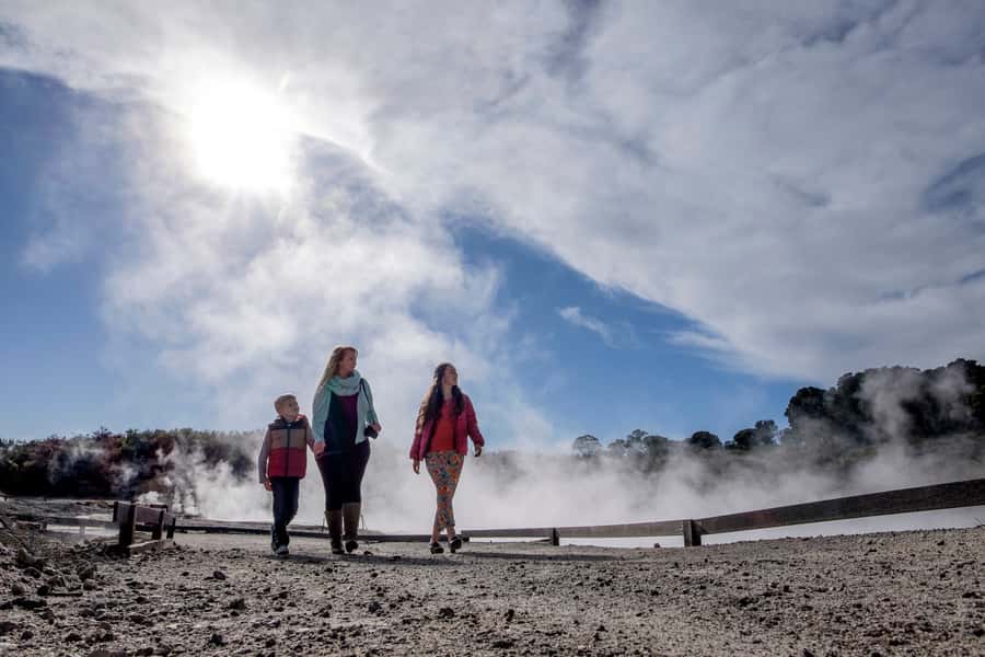 Rotorua: Hell's Gate Geothermal Walk - Māori carving and the extras on site