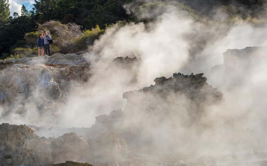 Rotorua: Hell's Gate Outdoor Mud Spa & Guided Walk - Who should book Hell’s Gate?