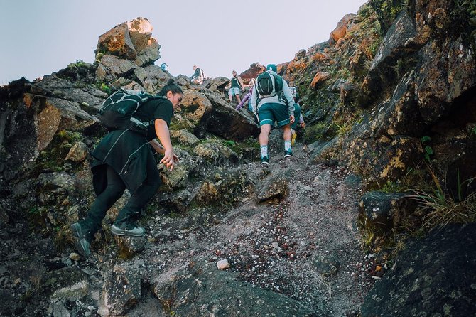 Rotorua Hiking: Mt Tarawera Guided Volcanic Crater Experience - From Rotorua hotel to the bush tracks