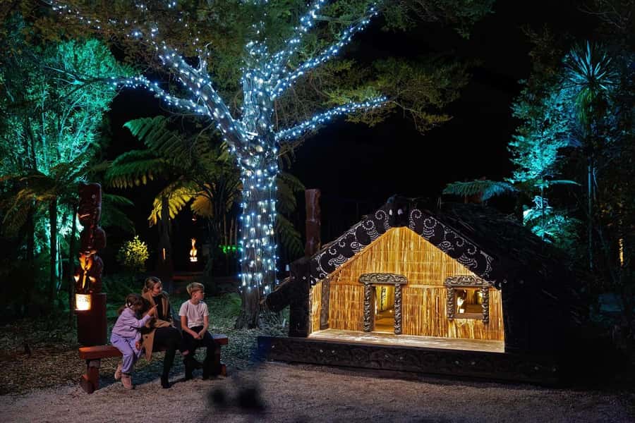 Rotorua: Marama Geyser Light Trail & Geothermal Experience - Who will enjoy it most?