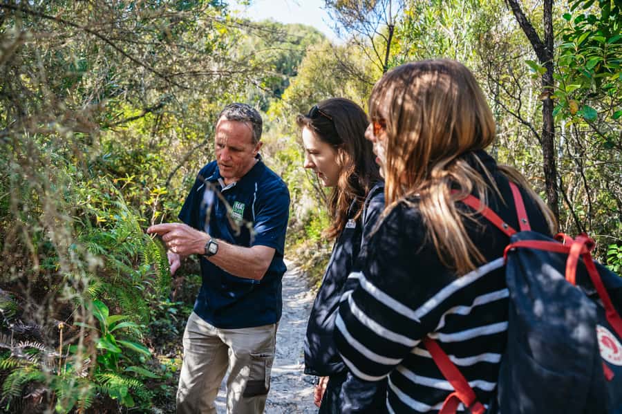 Rotorua: 'Thermal Path Tour' Geothermal half day Tour - Te Manaroa Spring and the force of hot water
