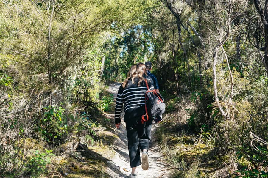 Rotorua: 'Thermal Path Tour' Geothermal half day Tour - Ending at Waikite Valley Thermal Pools