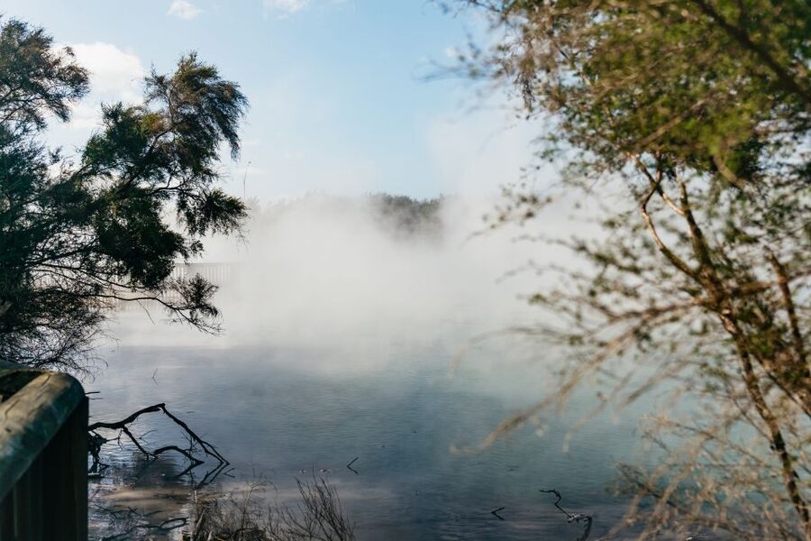 Rotorua: 'Thermal Path Tour' Geothermal half day Tour - The guide and the small-group feel