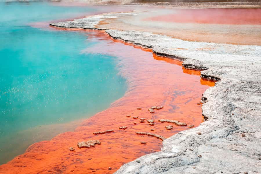 Rotorua: Wai-O-Tapu Geothermal Park Entry Ticket - Key points at a glance