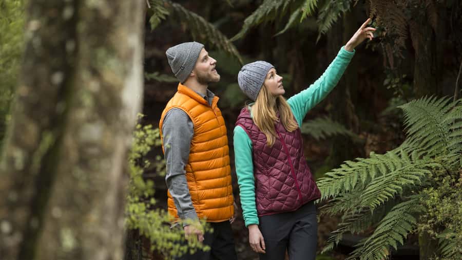 Rotorua: Waimangu Volcanic Valley Entry Ticket - Key points before you go
