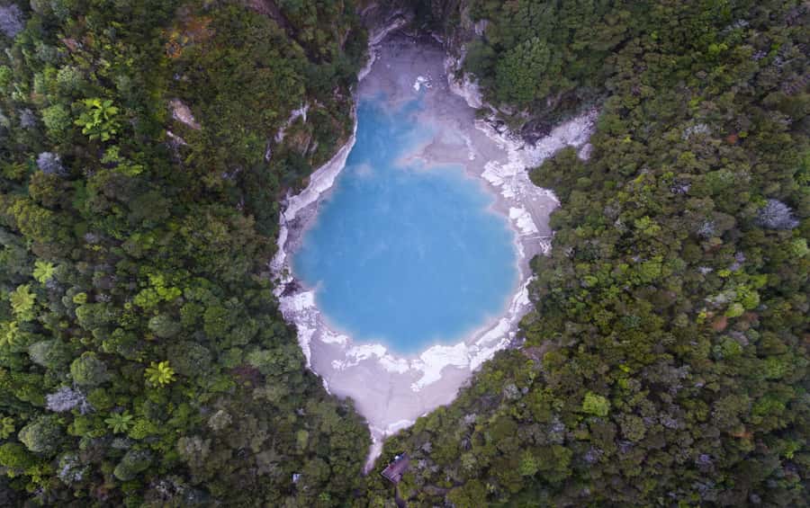 Rotorua: Waimangu Volcanic Valley Entry Ticket - Inferno Crater Lake and Echo Crater