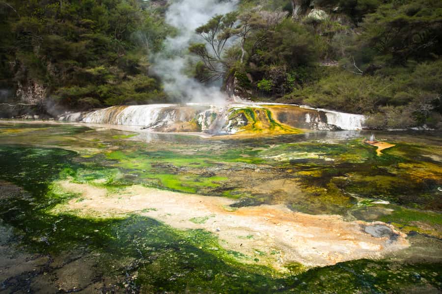 Rotorua: Waimangu Volcanic Valley Entry Ticket - How the internal shuttle helps
