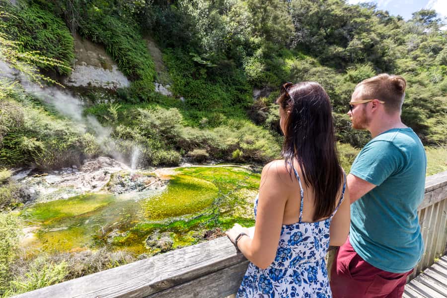 Rotorua: Waimangu Volcanic Valley Entry Ticket - Native plants, birds, and the quieter parts of the valley
