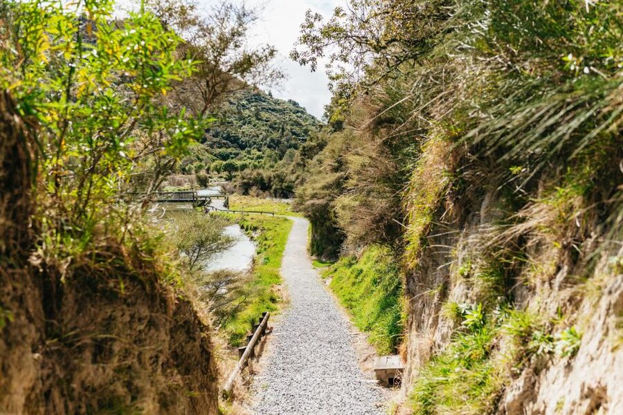 Rotorua: Waimangu Volcanic Valley Ticket & Self-Guided Walk - Key points to know before you go