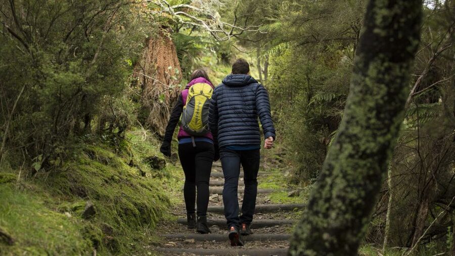 Rotorua: Waimangu Volcanic Valley Ticket & Self-Guided Walk - Is $38 good value?