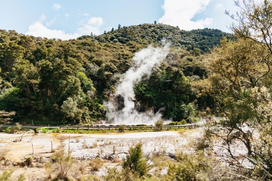 Rotorua: Waimangu Volcanic Valley Ticket & Self-Guided Walk - Frying Pan Lake and the end of the valley