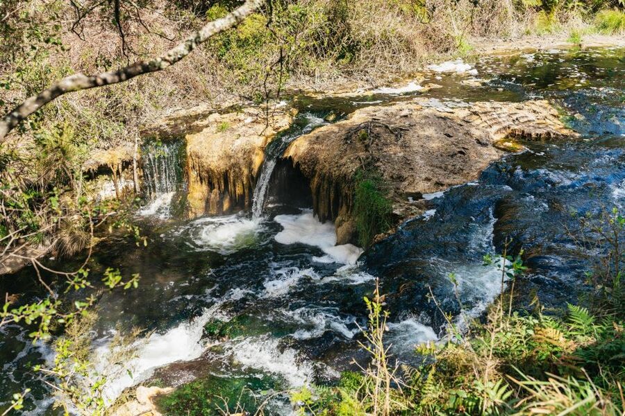 Rotorua: Waimangu Volcanic Valley Ticket & Self-Guided Walk - Echo Crater and the value of the information sheet