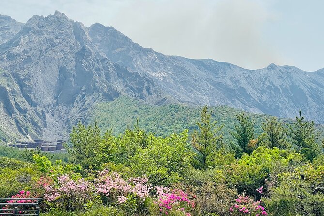 Sakurajima Century Lava Climb Journey with E-bike - Starting at the Sakurajima Visitor Center