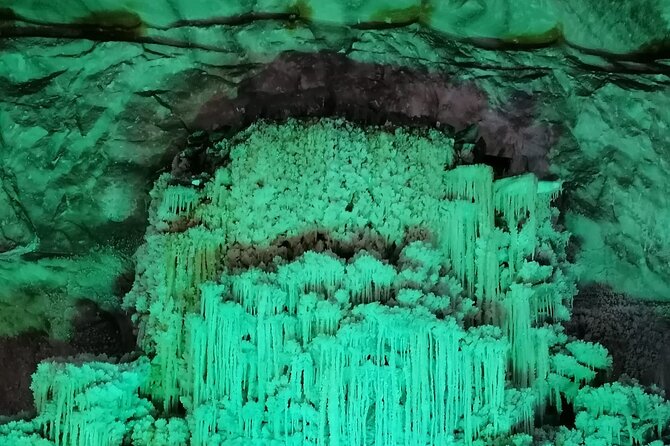 Salt Mine Prahova and Muddy Volcanoes Private Tour from Bucharest - Timing, food, and practical planning