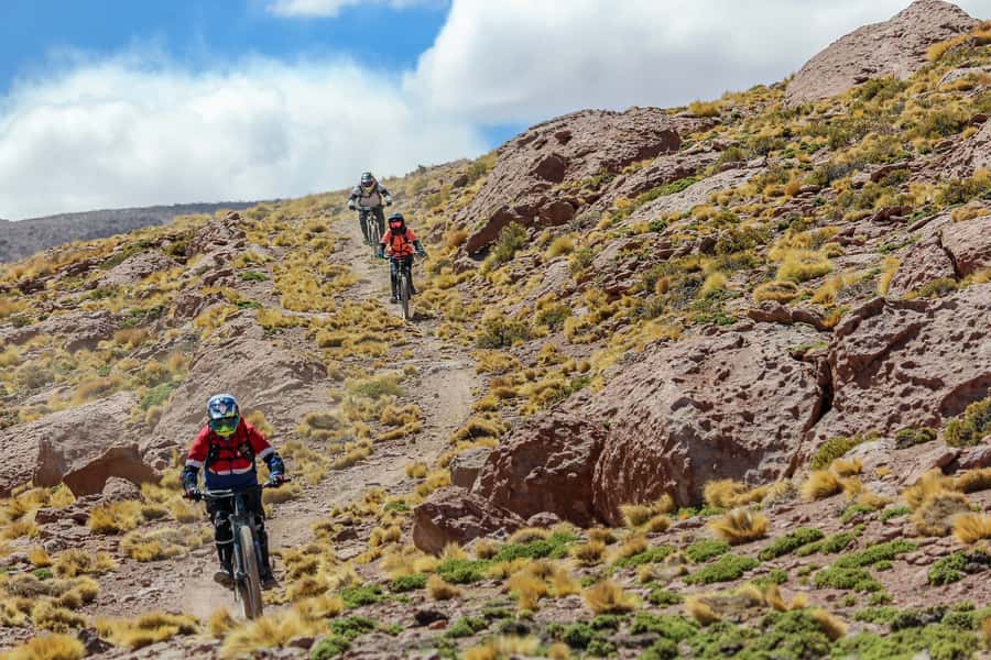 San Pedro de Atacama: Volcano Downhill Bike Tour - Altitude, fitness, and who should ride