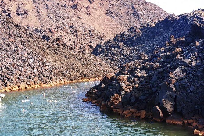 Santorini Volcanic Islands Cruise: Volcano, Hot Springs and Thirassia - Swimming near Palea Kameni’s warm springs