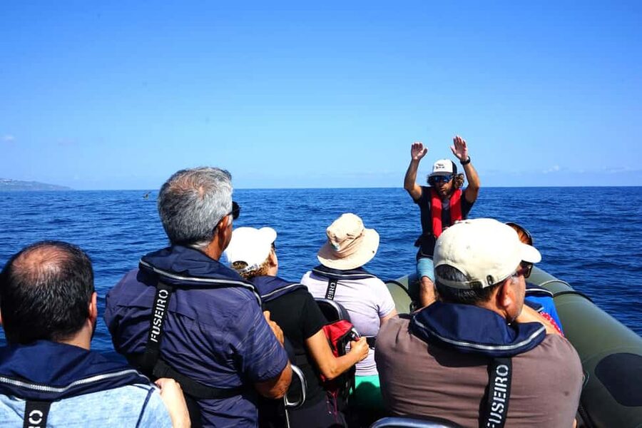 São Miguel: Boat Tour – Volcanic Wonders, Caves & History - Sea Caves, Seabirds, and Ponta do Cintrão