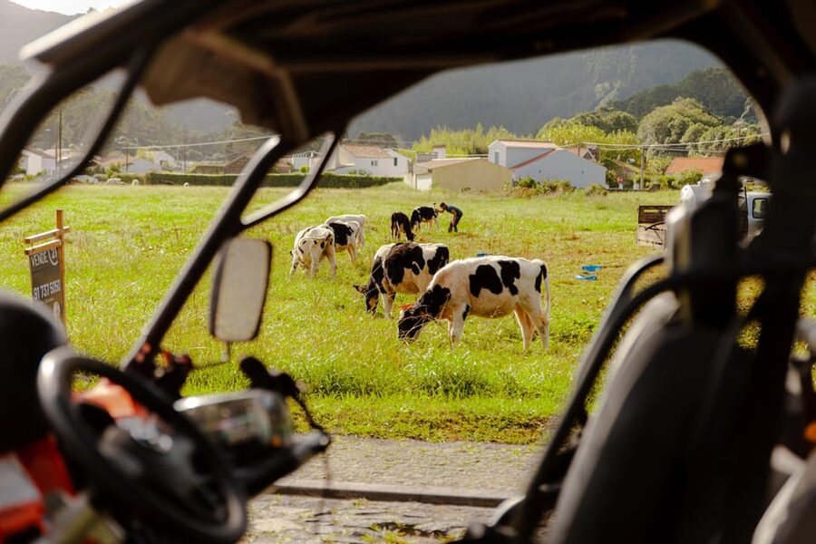 Sao Miguel: Buggy Tour Around Sete Cidades Volcano - Who should book this tour?