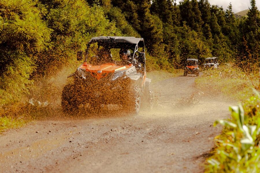Sao Miguel: Buggy Tour Around Sete Cidades Volcano - What the guides add