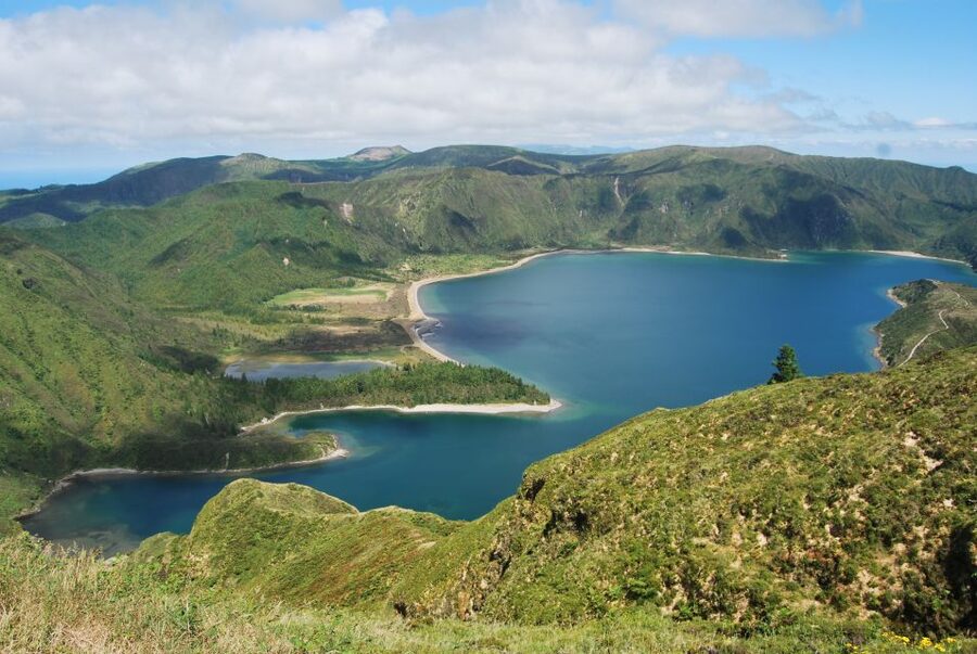 São Miguel: Whales & Volcano Full-Day Tour with Lunch - What wildlife watching really feels like