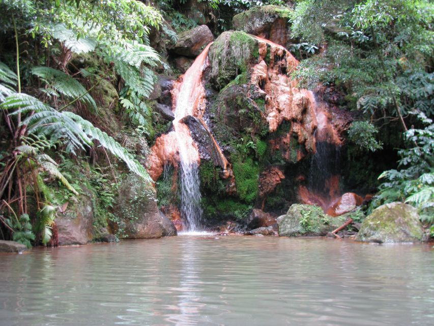 São Miguel: Whales & Volcano Full-Day Tour with Lunch - Weather, timing, and what to bring