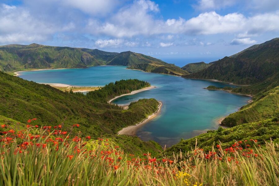São Miguel: Whales & Volcano Full-Day Tour with Lunch - The 8:45 AM pickup around Ponta Delgada