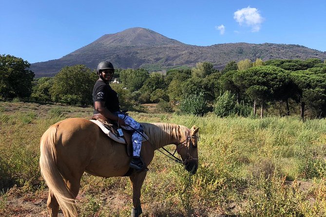Scenic Horseback Ride, Wine Tasting & Lunch on Mt. Vesuvius - Key points to know before booking
