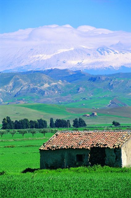 Scenic Tour of Etna foot hills and Alcantara Gorges - Randazzo brings a medieval pause