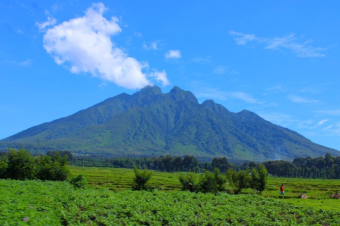 Scenic walk around volcanoes - A Scenic Lunch, With Extra Cost