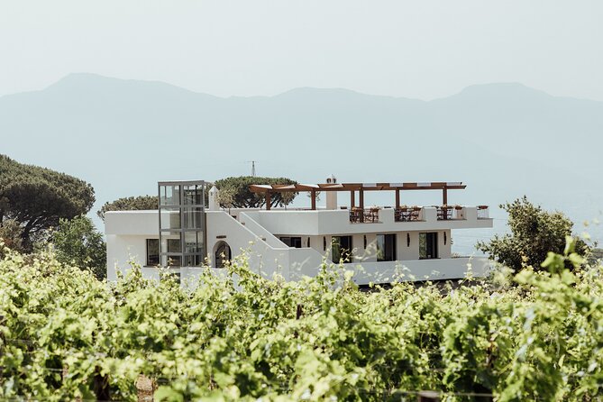 Scenic Wine Tasting & Lunch on the Slopes of Vesuvius from Naples - From Naples to the foothills of Vesuvius