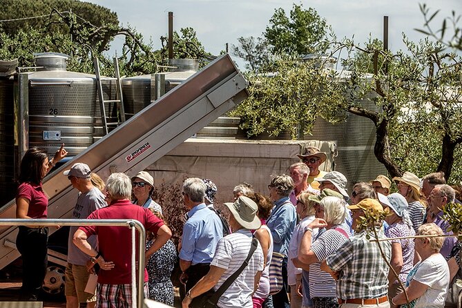 Scenic Wine Tasting & Lunch on the Slopes of Vesuvius from Naples - FAQ