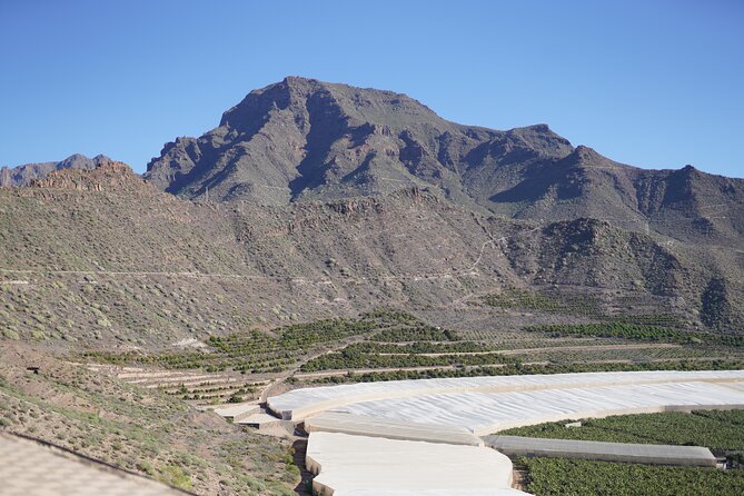 Secret Volcano Tour by Tuk Tuk in Costa Adeje - Seating, safety, and comfort