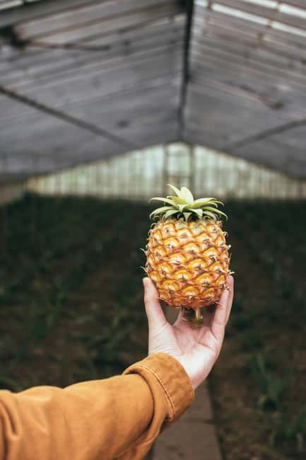 Sete Cidades: 4 Hours Shore Excursion Volcano Crater Tour - Santo António Pineapple Plantation and a Sweet Start