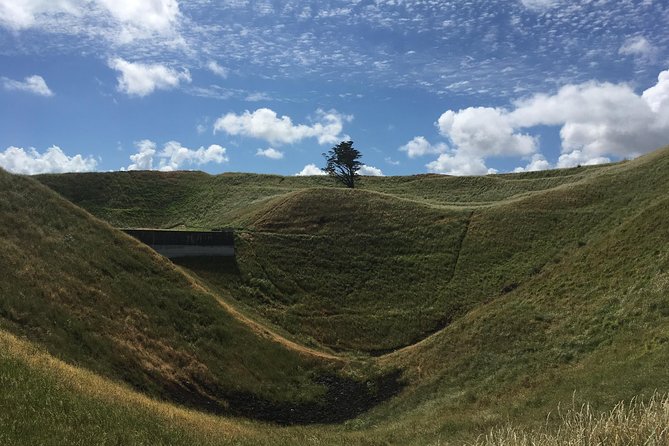 Shore Excursion: Half-Day Auckland Volcanoes Tour - Why Auckland’s volcanoes make a better city tour