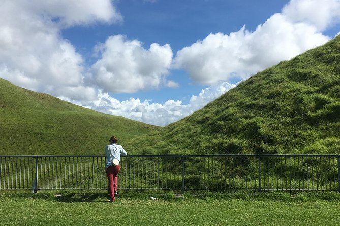 Shore Excursion: Half-Day Auckland Volcanoes Tour - What the guide adds to the morning