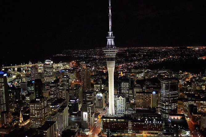 Shore Excursion: Half-Day Auckland Volcanoes Tour - Walking, weather, and comfort